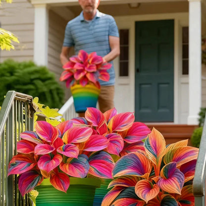 Rare Multicolor Hosta Seeds + Free Plant Growth Boost Supplement